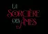 Mangas - Sorcière des âmes (La)