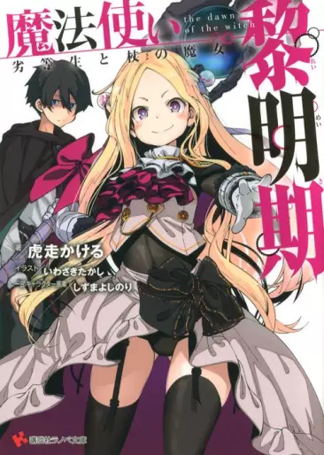 Manga - Mahôtsukai no Reimeiki Rettôsei to Tsue no Majo - Light novel vo
