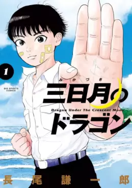 Manga - Mikazuki no Dragon vo