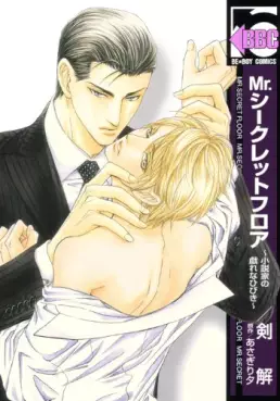 Manga - Mr. Secret Floor - Shousetsuka no Tawamure na Hibiki vo