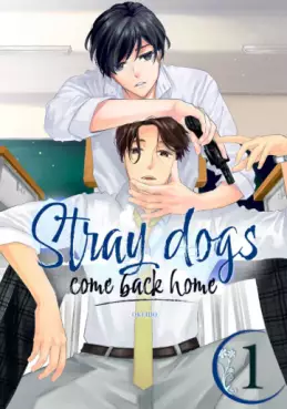 Stray dogs come back home