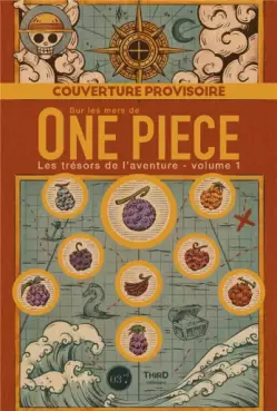 Sur les mers de One Piece - Les trésors de l'aventure