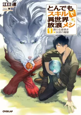 Manga - Manhwa - Tondemo Skill de Isekai Hôrô Meshi - Light novel vo