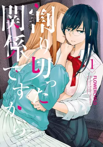 Manga - Warikitta Kankei desukara vo