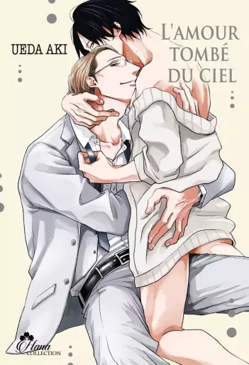 Manga - Amour tombé du ciel (l')