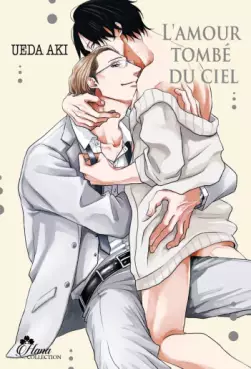 Mangas - Amour tombé du ciel (l')