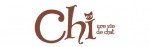 Mangas - Chi - Une vie de chat - Cahier d'activité