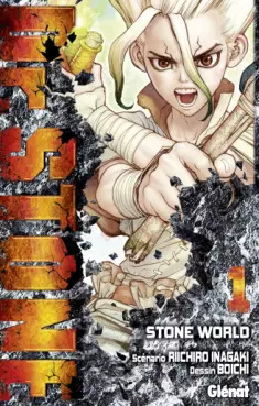 Dr Stone