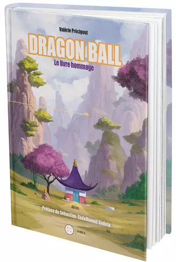 Manga - Dragon Ball - Le livre hommage