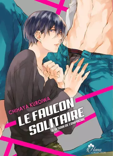 Manga - Faucon solitaire a besoin de compagnie (le)