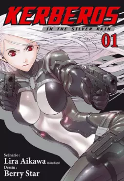 Kerberos in the Silver Rain