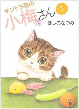 Mangas - Kijitora Neko no Kôme-san vo