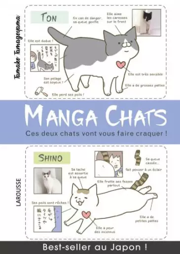 Manga - Manga chats