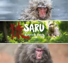 Mangas - Saru - Singes du Japon