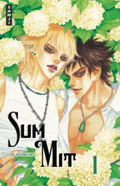 Manga - Manhwa - Summit