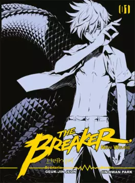 Manga - The Breaker - New waves