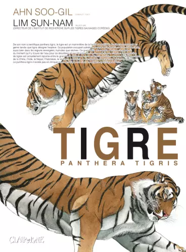 Manga - Tigre - Panthera Tigris