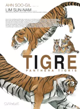 Mangas - Tigre - Panthera Tigris