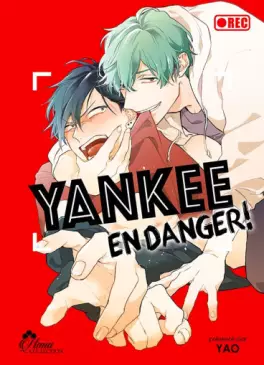 Manga - Yankee en danger !