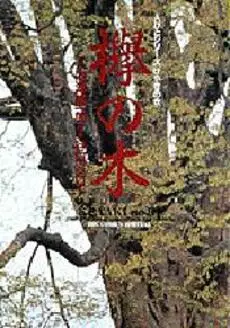 Manga - Keyaki no Ki vo