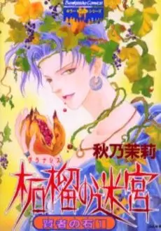 Manga - Manhwa - Kenja no Ishi vo