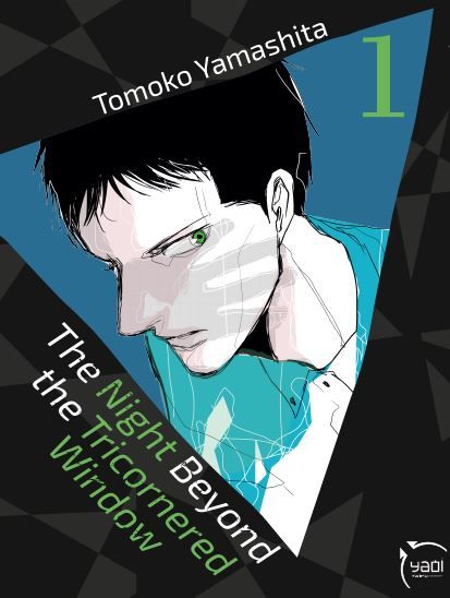 Manga - The Night Beyond the Tricornered Window