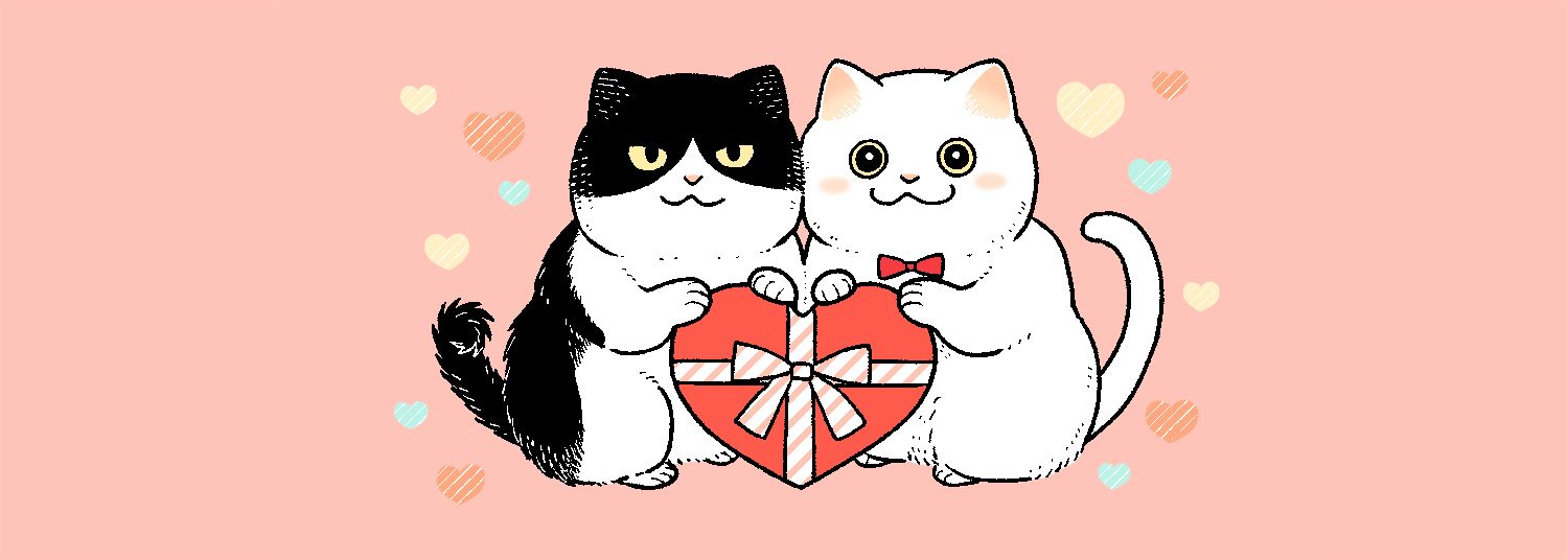 Hachi & Maruru - Chats des rues Vol.1 - Manga
