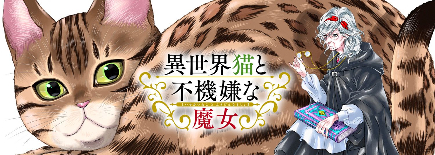 Isekai Neko to Fukigen na Majo vo - Manga