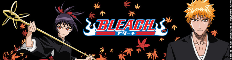 Bleach - The Diamond Dust Rebellion - Manga