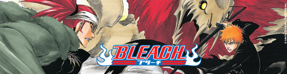 Bleach Vol.40 - Manga