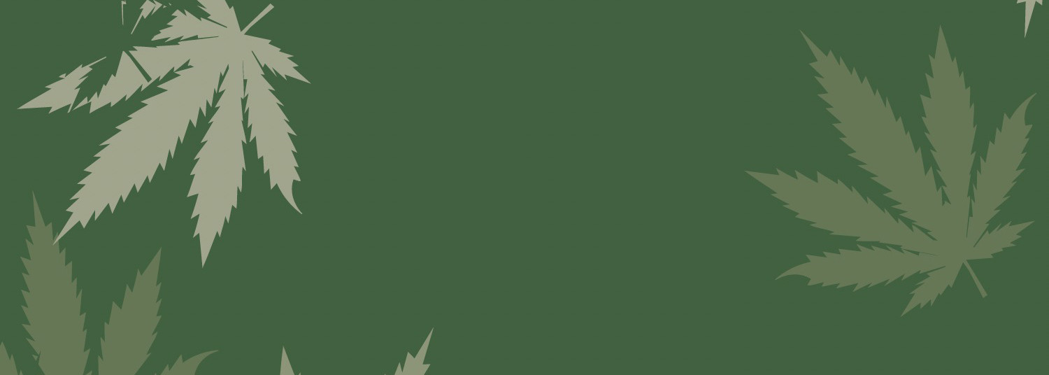 Tokyo Cannabis Vol.4 - Manga