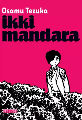 Manga - Manhwa - Ikki Mandara