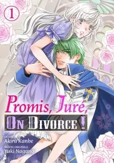 Mangas - Promis, juré, on divorce !