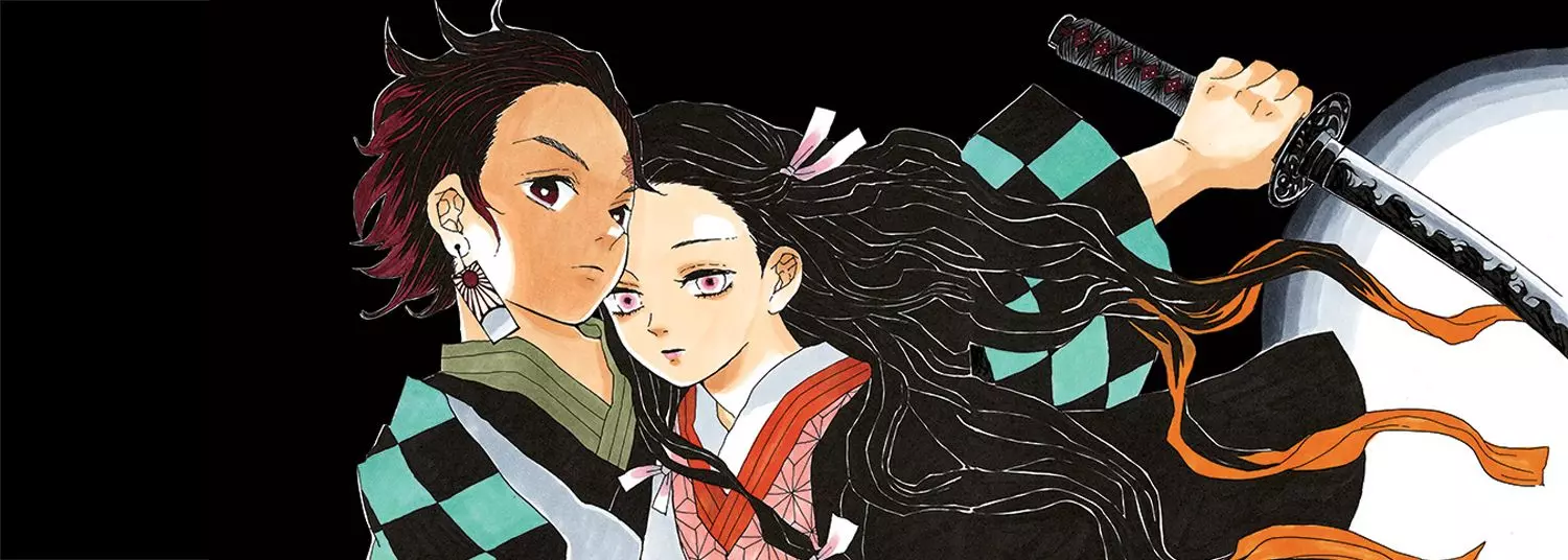 Demon Slayer Kimetsu no yaiba book vol 23 (finale) & gaiden 2 manga set