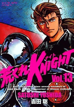 Manga - Manhwa - Arakure Knight 1 jp Vol.13
