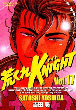 Manga - Manhwa - Arakure Knight 1 jp Vol.17