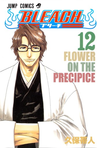 Manga - Manhwa - Bleach jp Vol.12