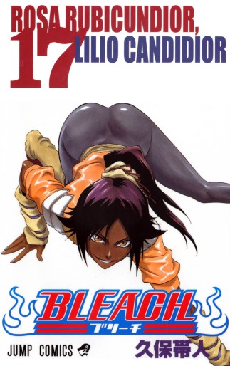 Manga - Manhwa - Bleach jp Vol.17
