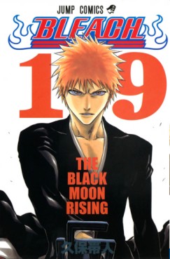 Manga - Manhwa - Bleach jp Vol.19