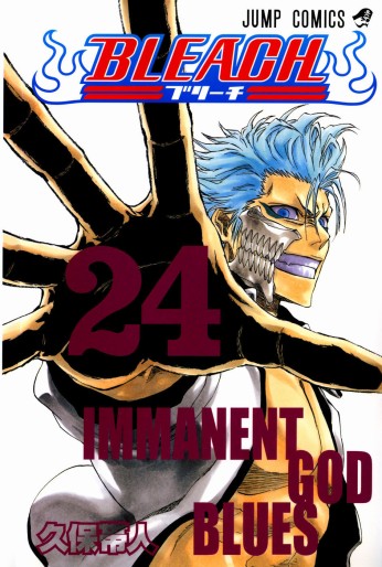 Manga - Manhwa - Bleach jp Vol.24