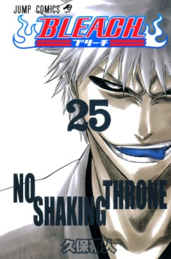 Manga - Manhwa - Bleach jp Vol.25