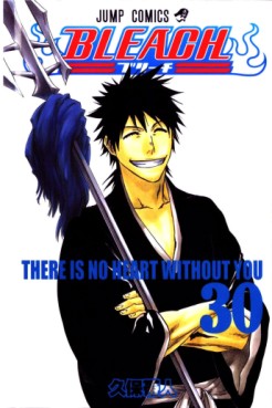 Manga - Manhwa - Bleach jp Vol.30