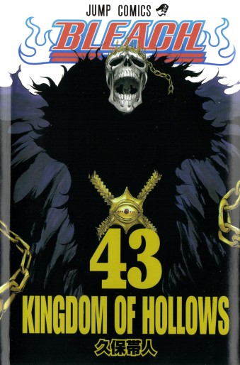 Manga - Manhwa - Bleach jp Vol.43