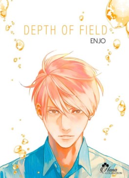 Manga - Depth of Field Vol.2