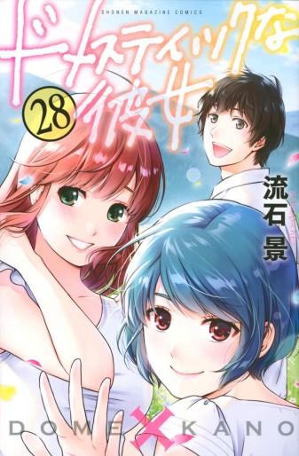 Manga - Manhwa - Domestic na Kanojo jp Vol.28