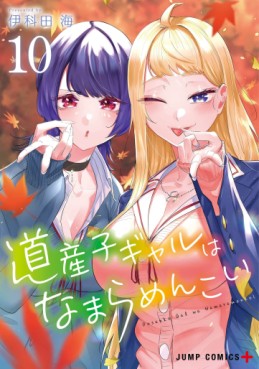 Manga - Manhwa - Dosanko Gal wa Namaramenkoi jp Vol.10