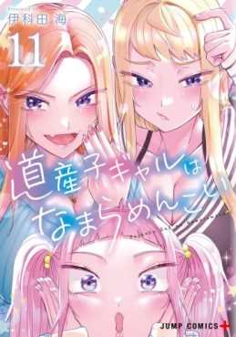 Manga - Manhwa - Dosanko Gal wa Namaramenkoi jp Vol.11