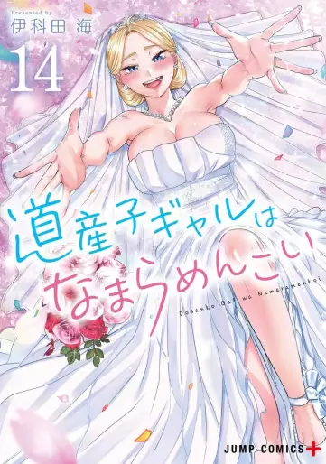 Manga - Manhwa - Dosanko Gal wa Namaramenkoi jp Vol.14