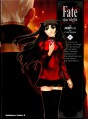 Manga - Manhwa - Fate/Stay Night jp Vol.12