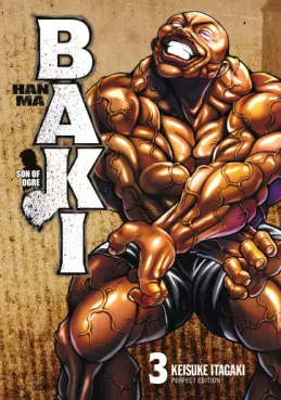 Manga - Manhwa - Hanma Baki - Perfect Edition Vol.3